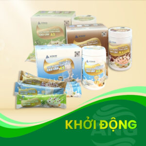 Khởi động An Nhiên Group