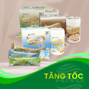Tăng tốc An Nhiên Group